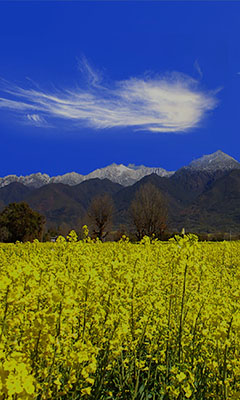 獎(jiǎng)勵(lì)旅游活動(dòng)策劃方案書